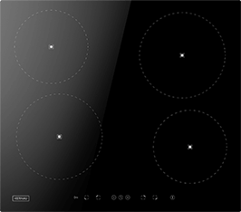 Induktionsfeld Reparatur Weißenfels